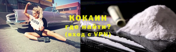 ПСИЛОЦИБИНОВЫЕ ГРИБЫ Богданович