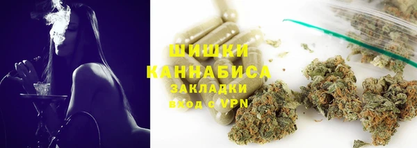 стаф Богородицк