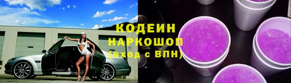 ПСИЛОЦИБИНОВЫЕ ГРИБЫ Богданович
