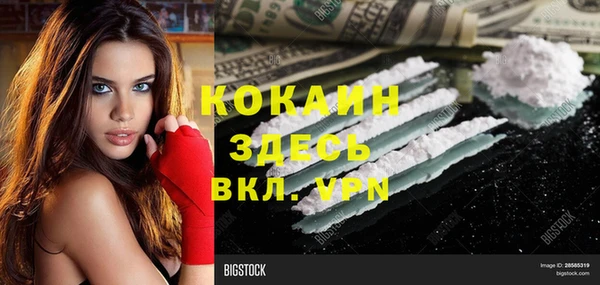 стаф Богородицк