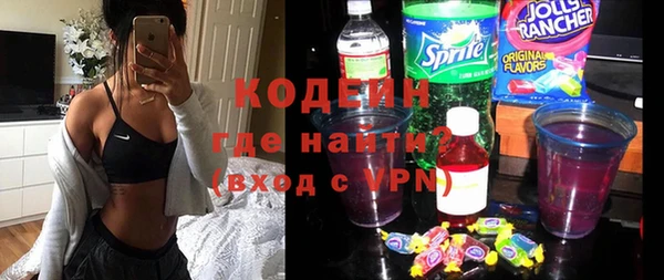 ПСИЛОЦИБИНОВЫЕ ГРИБЫ Богданович