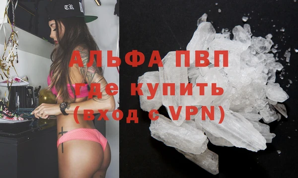 ПСИЛОЦИБИНОВЫЕ ГРИБЫ Богданович