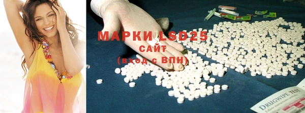 ПСИЛОЦИБИНОВЫЕ ГРИБЫ Богданович